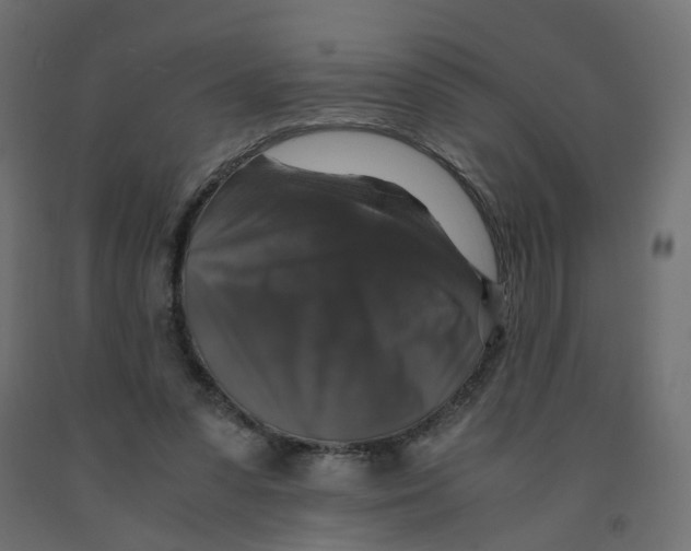 X0000091960303200710041034
