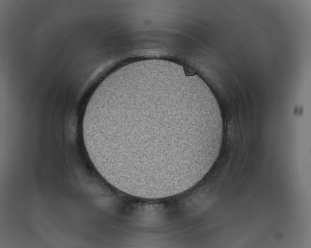 X0000091960304200710041033