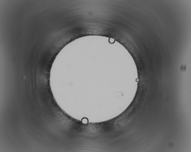 X0000091960305200710041033