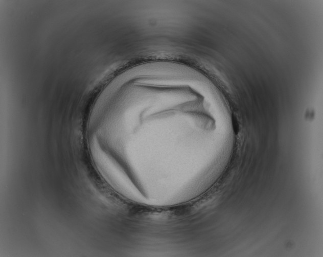 X0000091960306200710041033