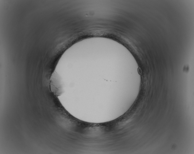 X0000091960307200710041033