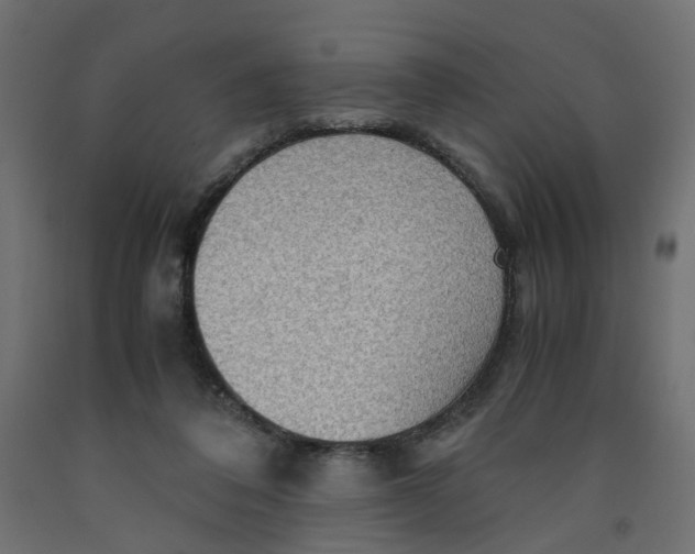 X0000091960308200710041033