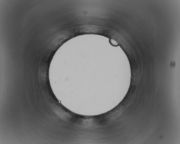 X0000091960309200710041033