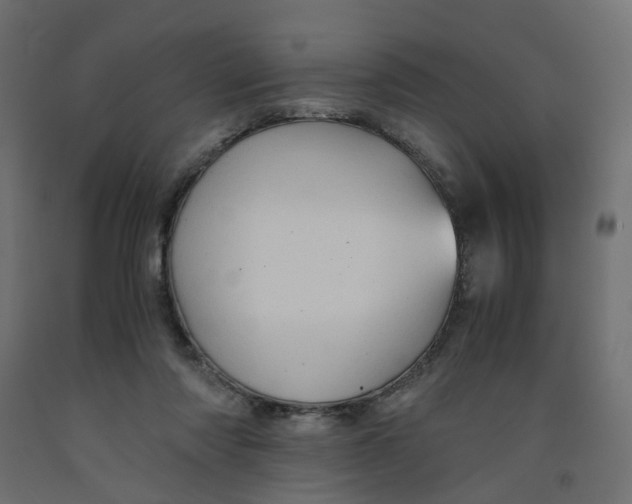 X0000091960310200710041033
