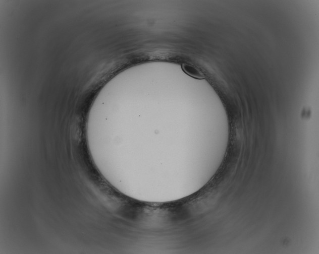 X0000091960311200710041033