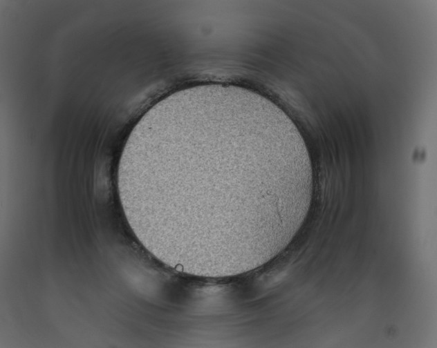 X0000091960312200710041033