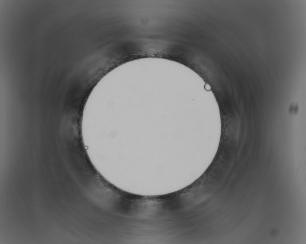 X0000091960313200710041033