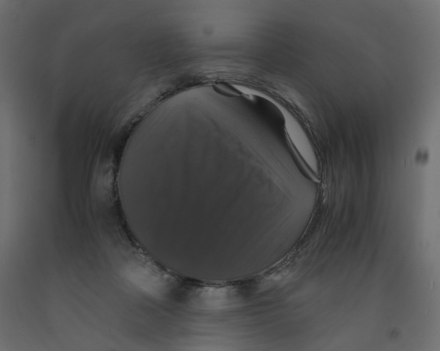 X0000091960314200710041033