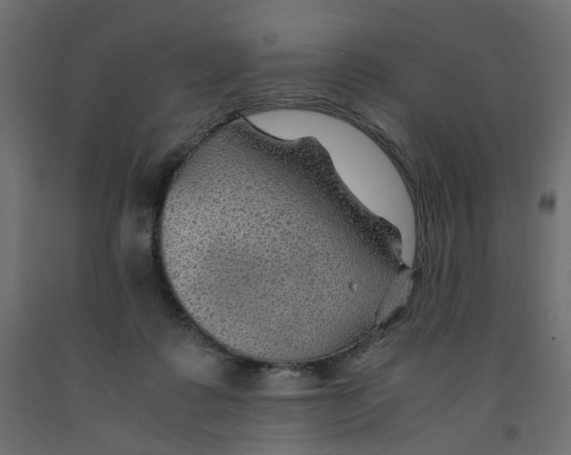 X0000091960315200710041033