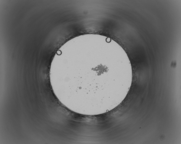 X0000091960317200710041033