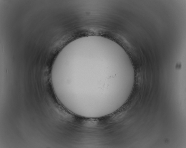 X0000091960318200710041033