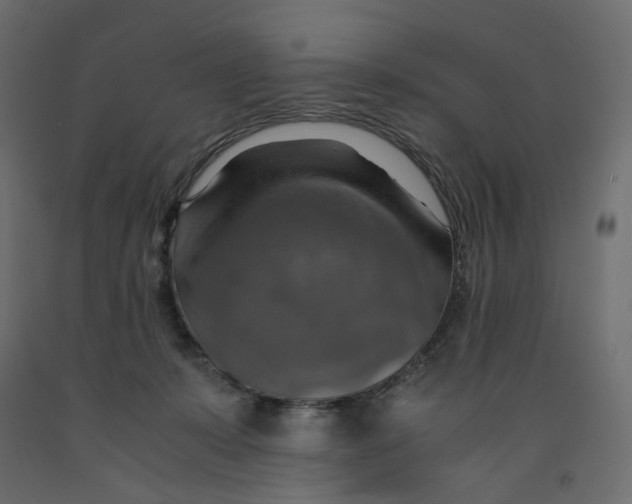 X0000091960319200710041033