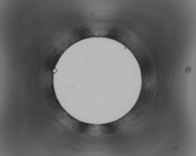 X0000091960321200710041033