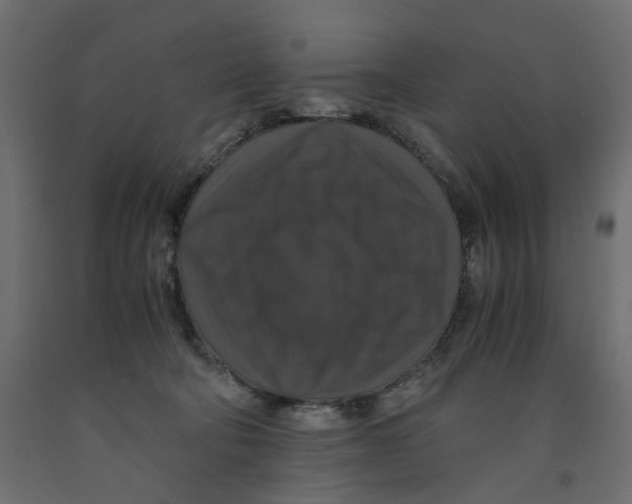 X0000091960322200710041033