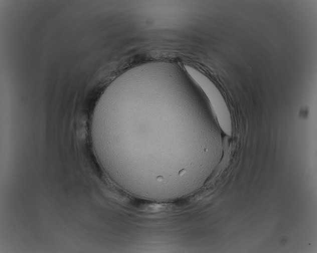 X0000091960323200710041033