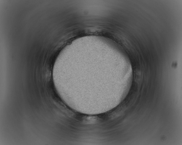 X0000091960324200710041033