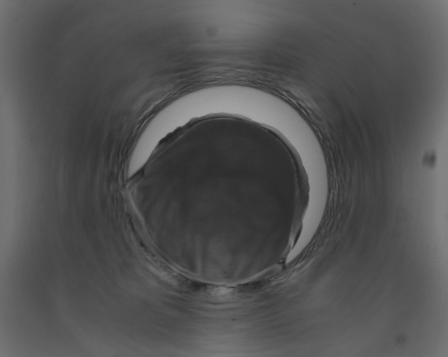 X0000091960325200710041033
