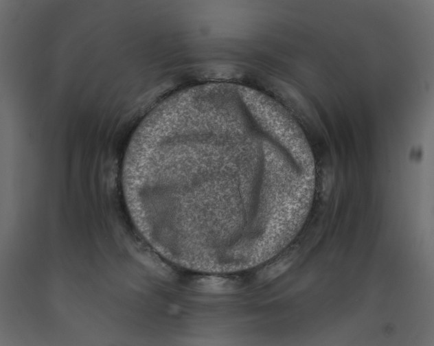 X0000091960326200710041033