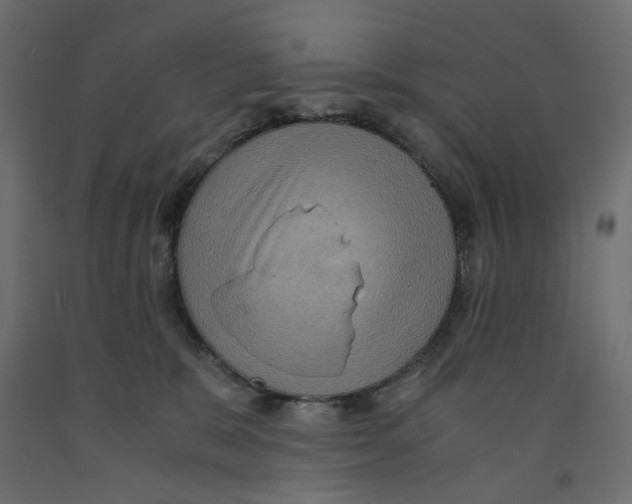 X0000091960327200710041033