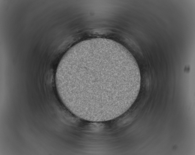 X0000091960328200710041033