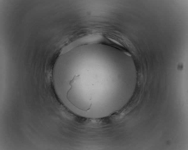X0000091960329200710041033