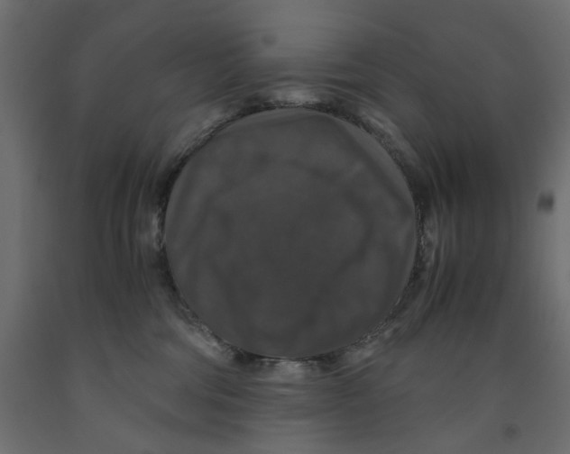 X0000091960330200710041033