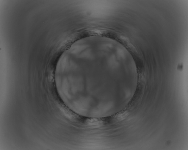X0000091960331200710041033