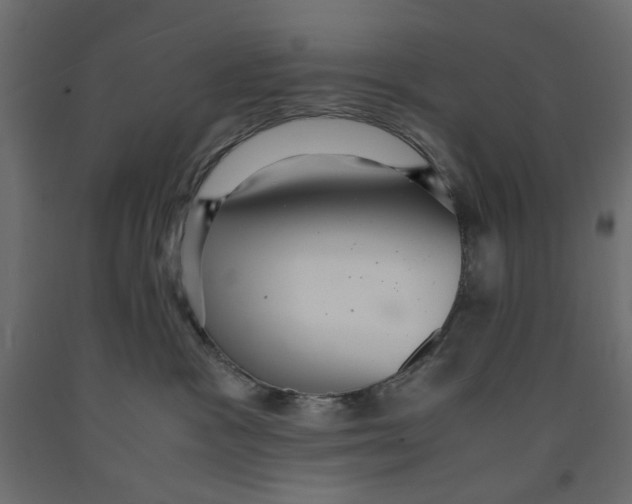 X0000091960333200710041033