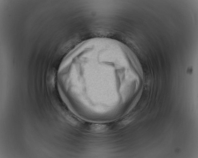 X0000091960334200710041033