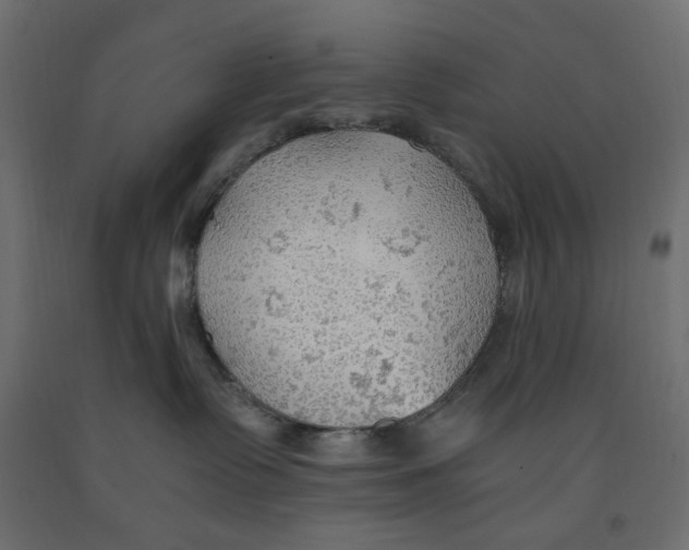 X0000091960335200710041033