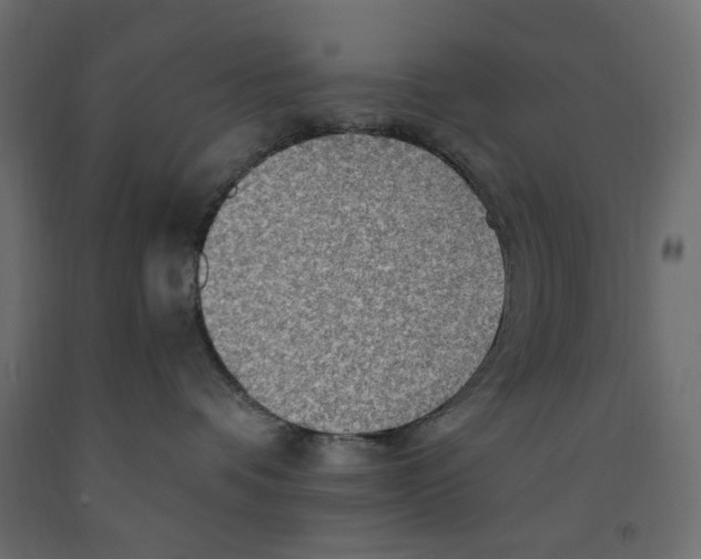 X0000091960336200710041033