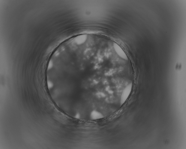 X0000091960337200710041032
