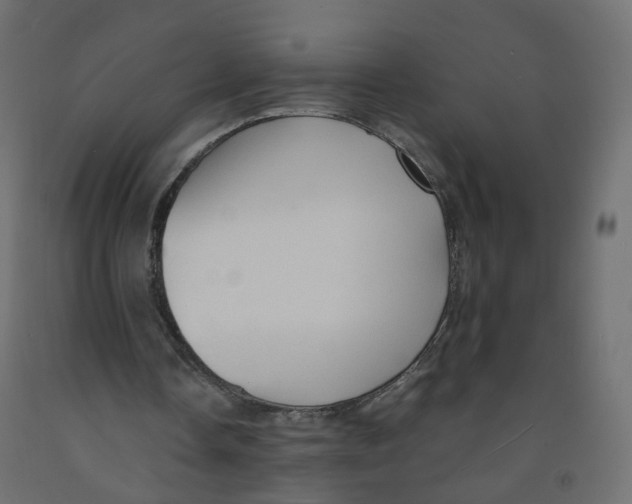 X0000091960338200710041032