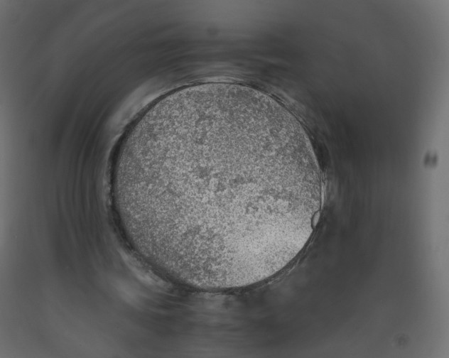 X0000091960339200710041032