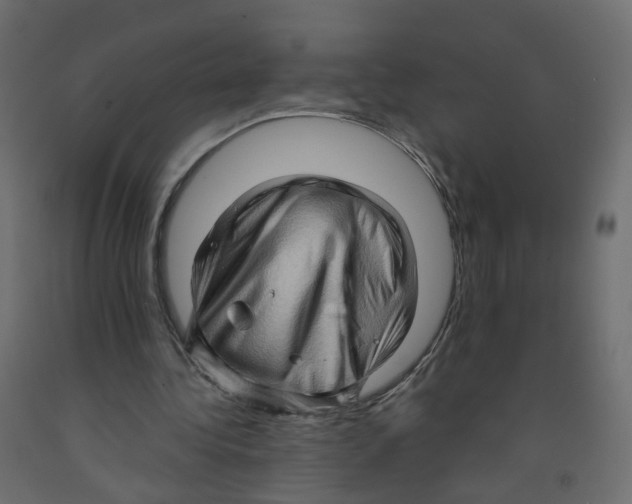 X0000091960340200710041032