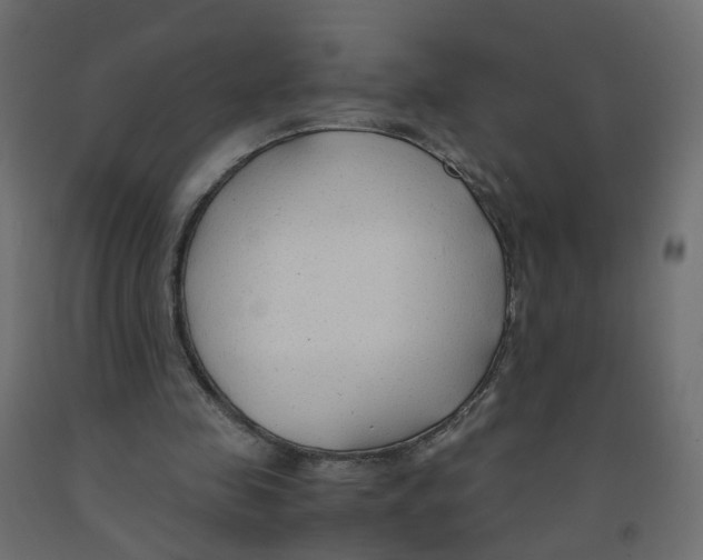 X0000091960341200710041032