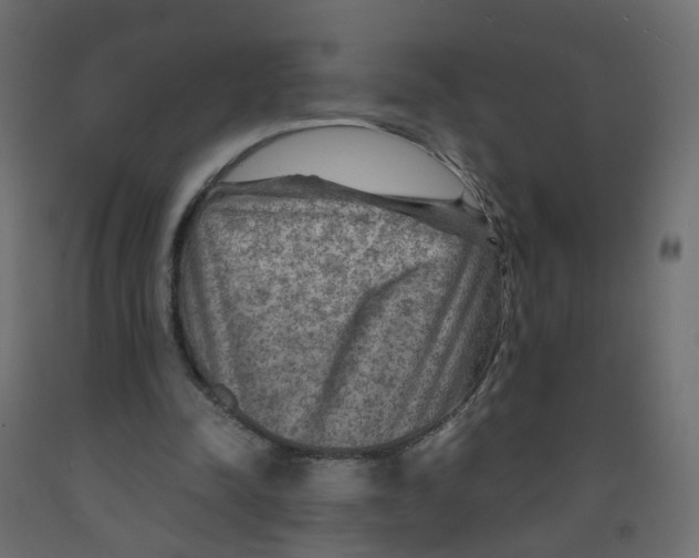 X0000091960342200710041032
