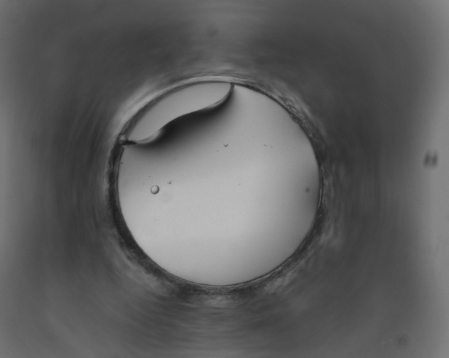 X0000091960344200710041033