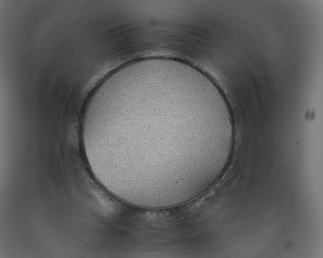X0000091960345200710041033