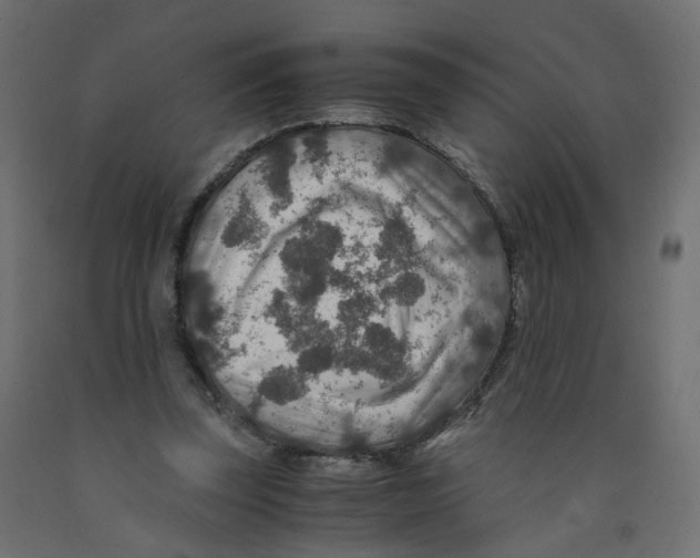 X0000091960347200710041033