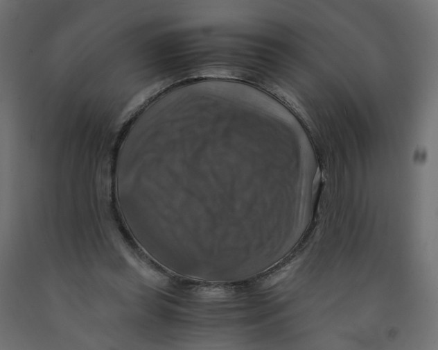 X0000091960349200710041033