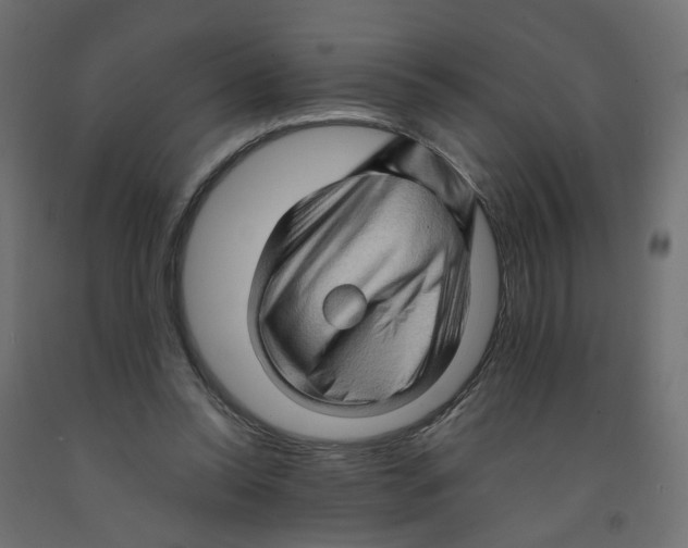 X0000091960350200710041033