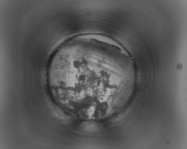 X0000091960351200710041033