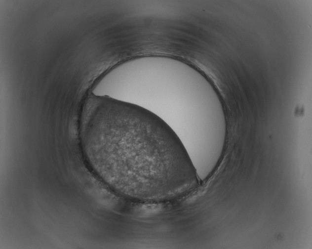 X0000091960353200710041033