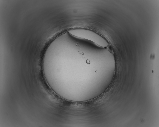 X0000091960354200710041033