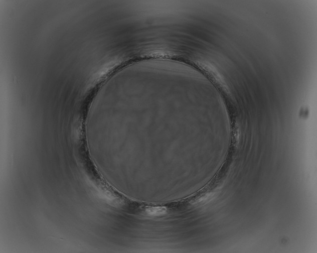 X0000091960355200710041033