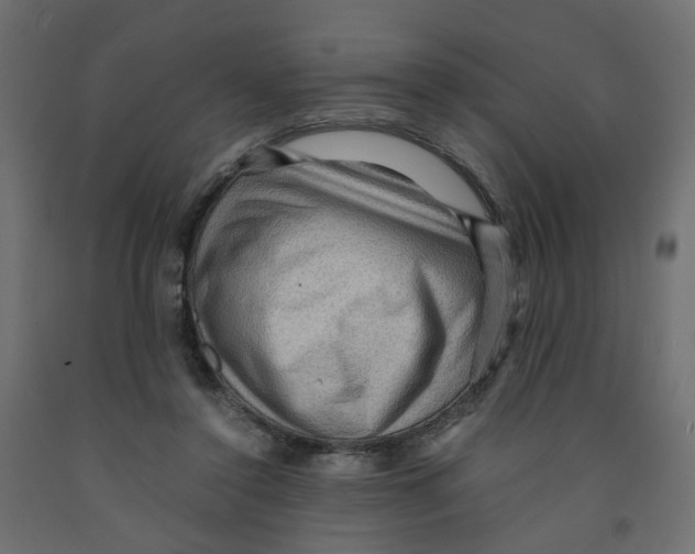 X0000091960356200710041033