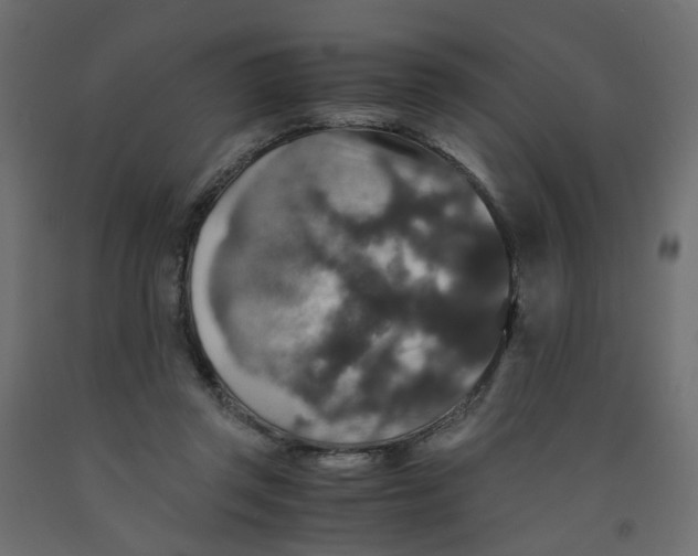 X0000091960357200710041033
