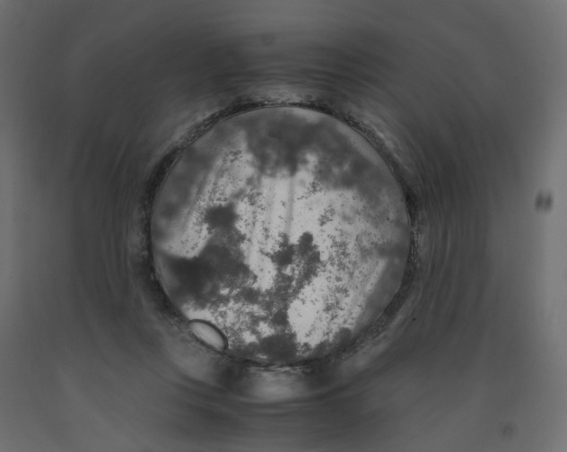 X0000091960359200710041033