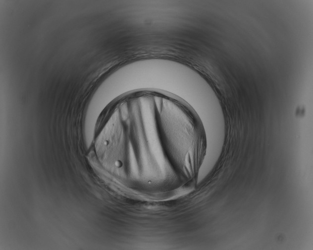 X0000091960360200710041033
